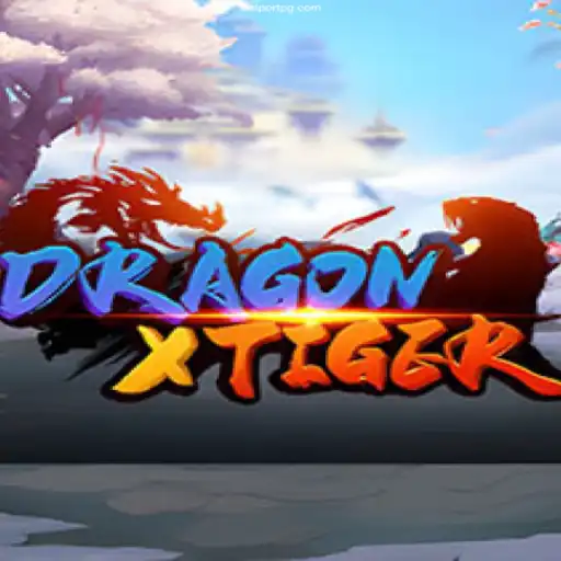 Immerse Yourself in the World of DragonXTiger