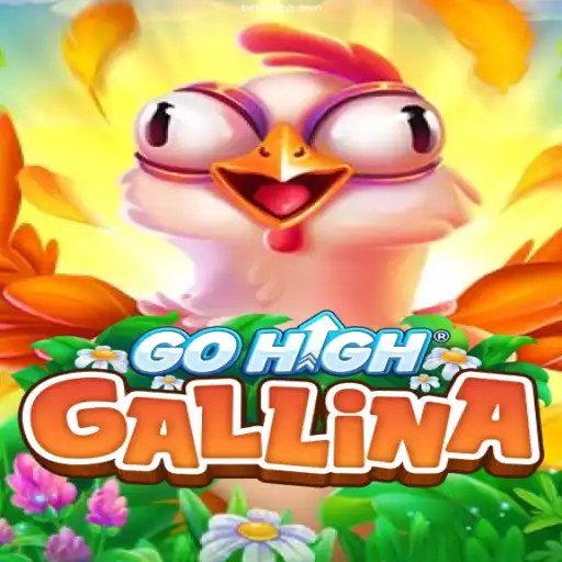 Exploring GoHighGallina: An Insight into Brazil's Most Trusted Certified Casino Game